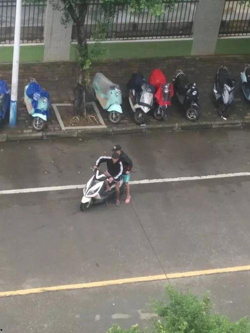 梅州爆料电瓶被偷事件视频,监控视频揭露深夜偷窃真相